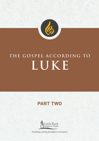 表紙画像: The Gospel According to Luke, Part Two 9780814663691