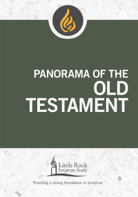 Imagen de portada: Panorama of the Old Testament 9780814663721