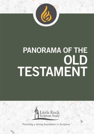 表紙画像: Panorama of the Old Testament 9780814663721