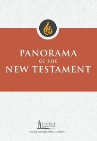 Cover image: Panorama of the New Testament 9780814663745