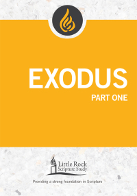 Cover image: Exodus, Part One 9780814664520