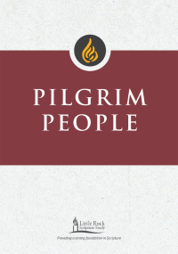 Omslagafbeelding: Pilgrim People 9780814665282