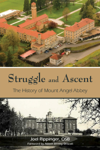 Cover image: Struggle and Ascent 9780814665039