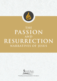Cover image: The Passion and Resurrection Narratives of Jesus 9780814665237