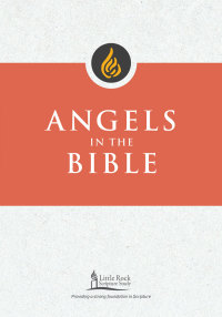 Cover image: Angels in the Bible 9780814665596