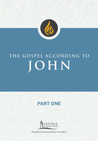 Omslagafbeelding: The Gospel According to John, Part One 9780814665732