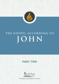 Cover image: The Gospel According to John, Part Two 9780814665749