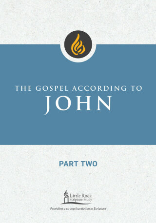 صورة الغلاف: The Gospel According to John, Part Two 9780814665749