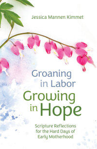 صورة الغلاف: Groaning in Labor, Growing in Hope 9780814669167