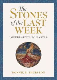 Titelbild: The Stones of the Last Week 9780814669457