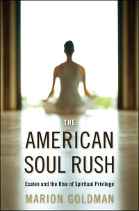 صورة الغلاف: The American Soul Rush 9780814732878