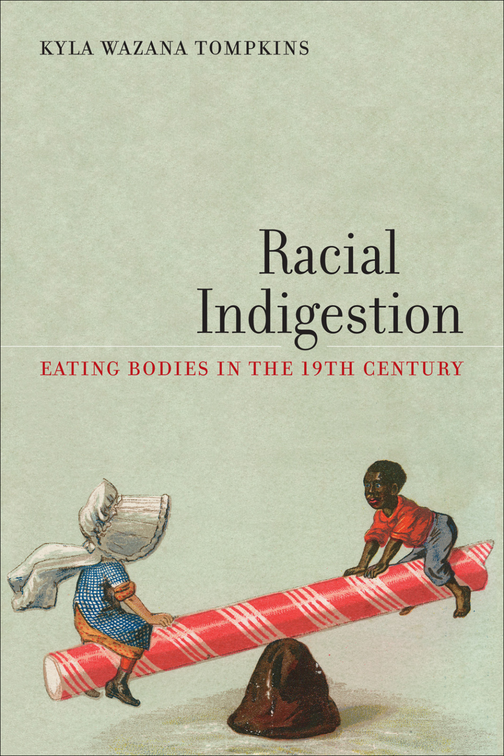 Racial Indigestion eBook