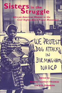 Imagen de portada: Sisters in the Struggle 9780814716038