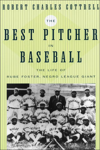 Cover image: The Best Pitcher in Baseball 9780814716151