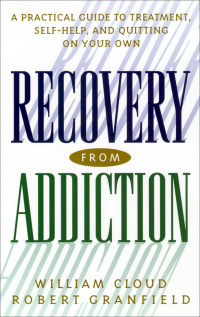 Cover image: Recovery from Addiction 9780814716083
