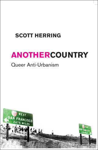 Cover image: Another Country 9780814737194