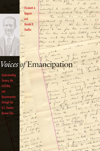 Omslagafbeelding: Voices of Emancipation 9780814775875