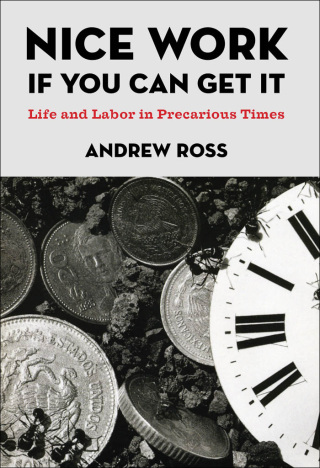 Cover image: Nice Work If You Can Get It 9780814776919