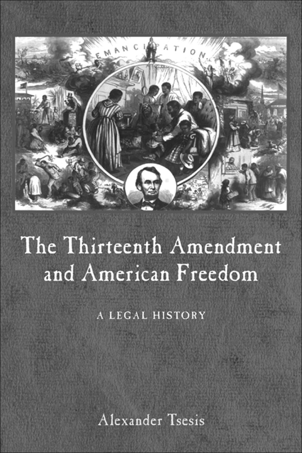 The Thirteenth Amendment and American Freedom eBook