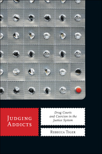 Cover image: Judging Addicts 9780814784075