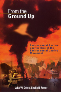 Cover image: From the Ground Up 9780814715376