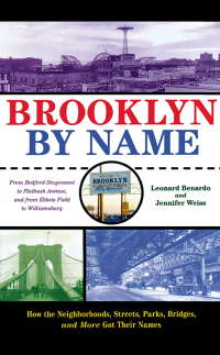 Cover image: Brooklyn By Name 9780814799468