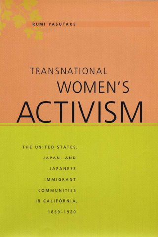 表紙画像: Transnational Women's Activism 9780814797037