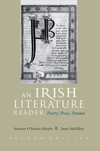 Cover image: An Irish Literature Reader 9780815630463