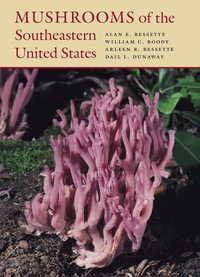Cover image: Mushrooms of the Southeastern United States 9780815631125