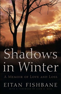 Cover image: Shadows in Winter 9780815609896