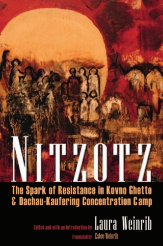 Cover image: Nitzotz 9780815632337