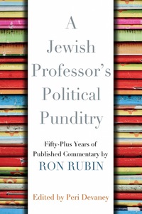 Imagen de portada: A Jewish Professor's Political Punditry 9780815610205