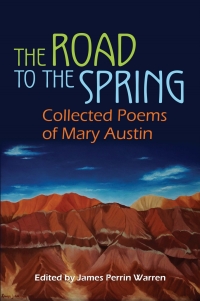 Cover image: The Road to the Spring 9780815633457