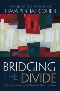 Imagen de portada: Bridging the Divide 9780815610540