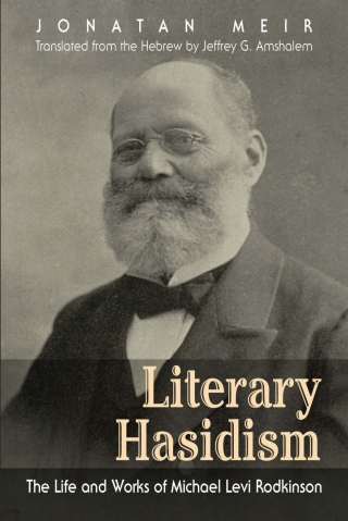 Cover image: Literary Hasidism 9780815634478