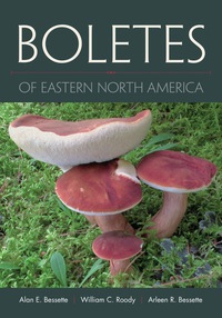 Imagen de portada: Boletes of Eastern North America 9780815634829