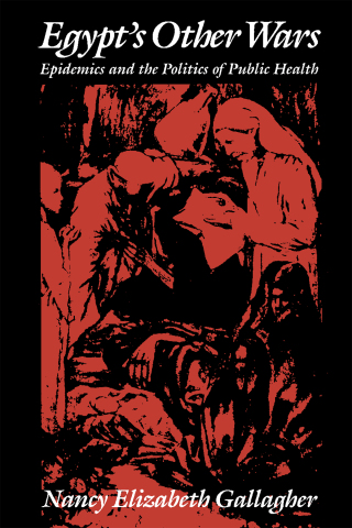 Cover image: Egypt's Other Wars 9780815625070