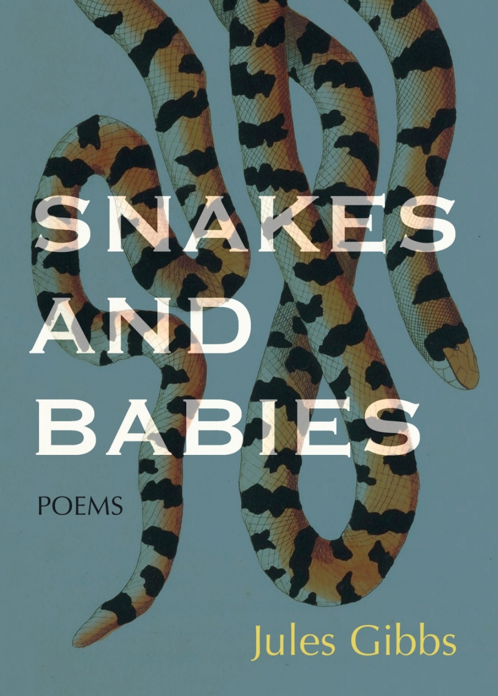 Snakes and Babies eBook
