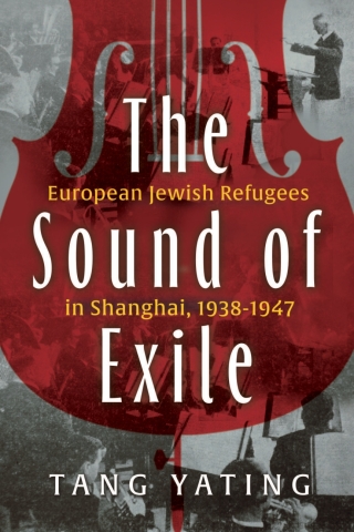 表紙画像: The Sound of Exile 9780815638551