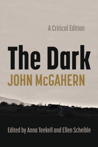 Cover image: The Dark 9780815638612