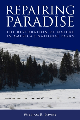 Imagen de portada: Repairing Paradise 9780815722700