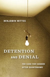 Cover image: Detention and Denial 9780815704911