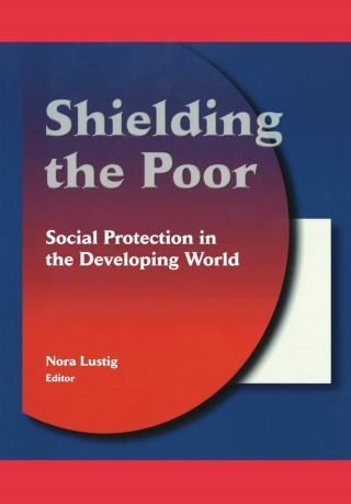 Immagine di copertina: Shielding the Poor 1st edition 9780815753216