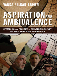 Cover image: Aspiration and Ambivalence 9780815724414