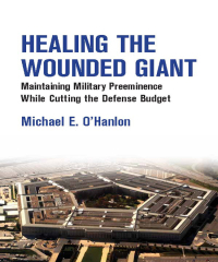 Cover image: Healing the Wounded Giant 9780815724858