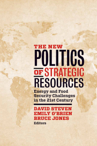 Titelbild: The New Politics of Strategic Resources 9780815725336