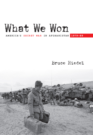 Cover image: What We Won 1st edition 9780815725954