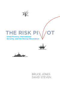 Immagine di copertina: The Risk Pivot 9780815726043