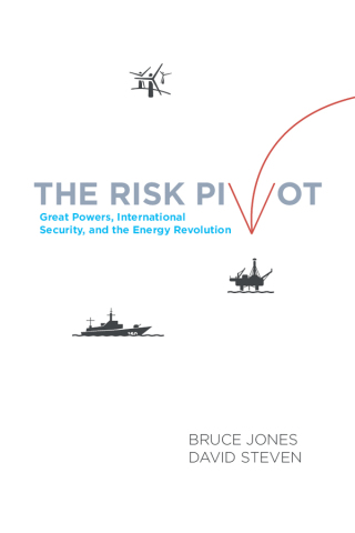 Cover image: The Risk Pivot 1st edition 9780815726043