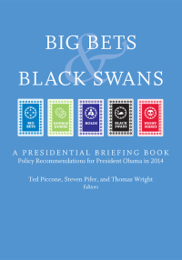 Imagen de portada: Big Bets and Black Swans 2014 9780815726036